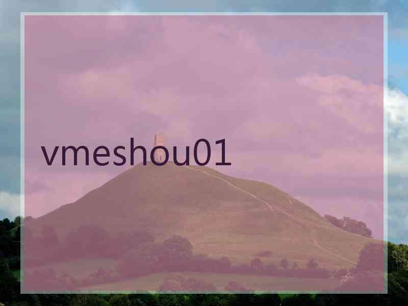 vmeshou01