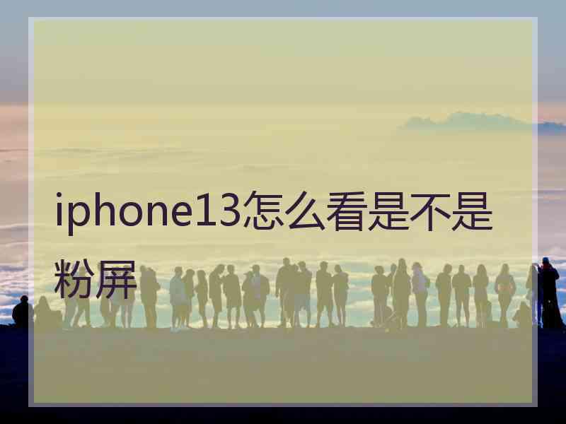 iphone13怎么看是不是粉屏