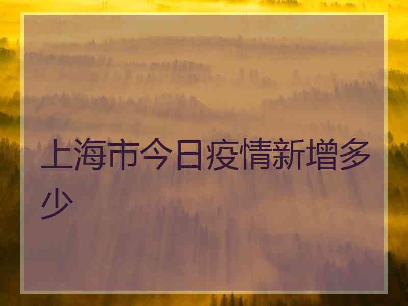 上海市今日疫情新增多少