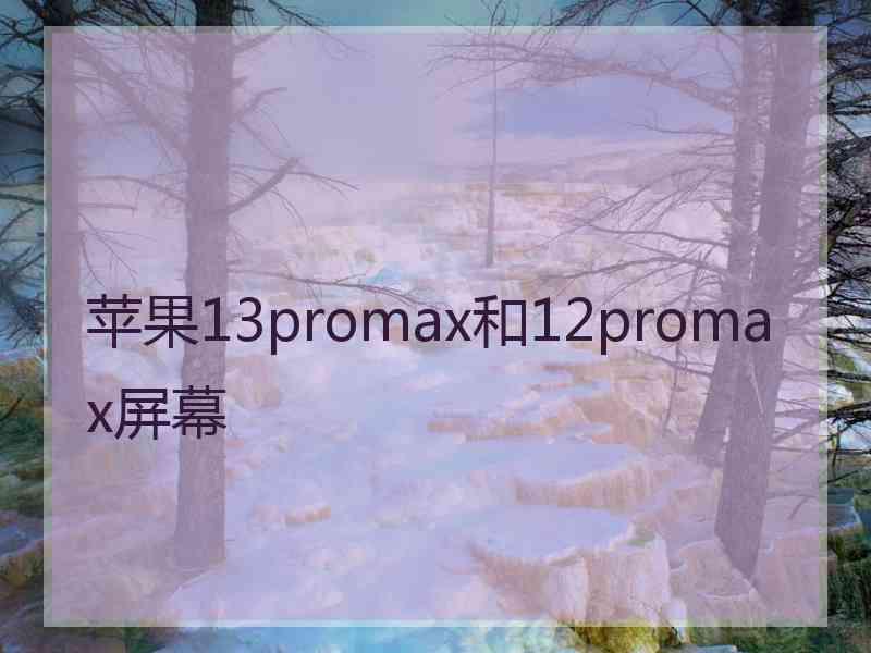 苹果13promax和12promax屏幕