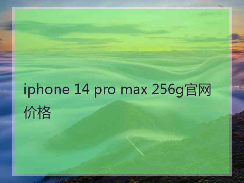 iphone 14 pro max 256g官网价格