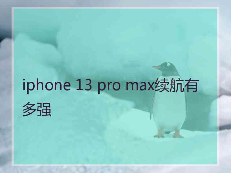 iphone 13 pro max续航有多强