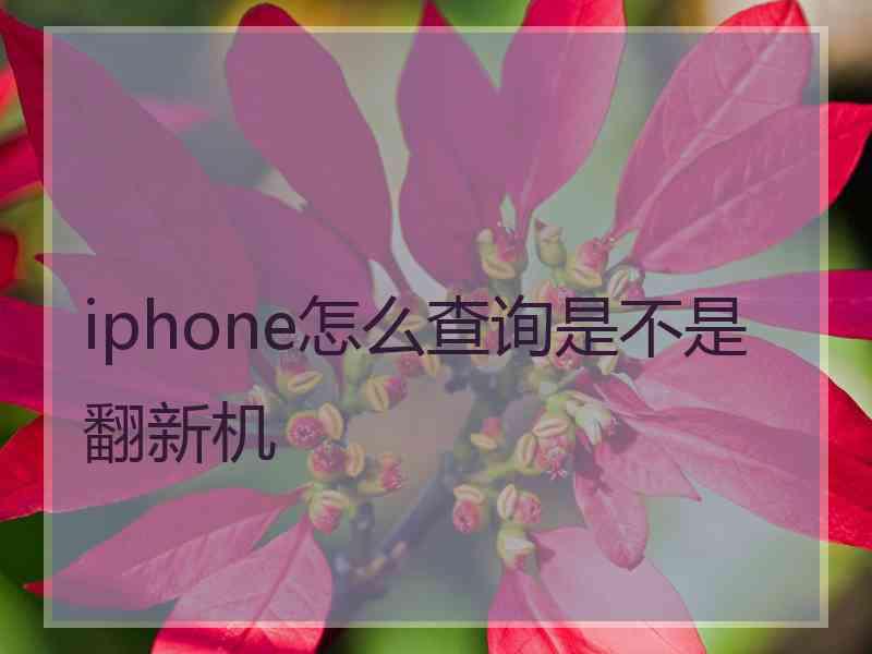 iphone怎么查询是不是翻新机