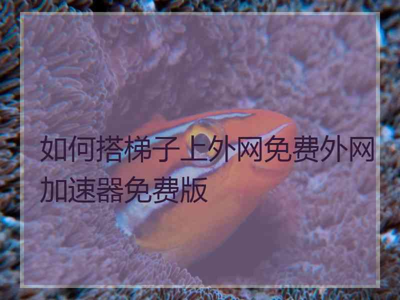 如何搭梯子上外网免费外网加速器免费版