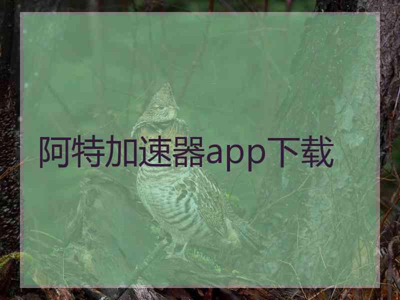 阿特加速器app下载