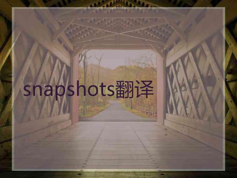 snapshots翻译