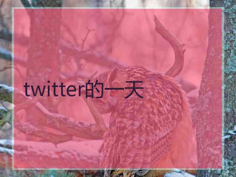 twitter的一天