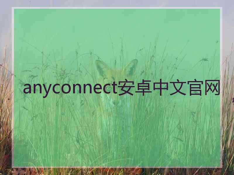 anyconnect安卓中文官网