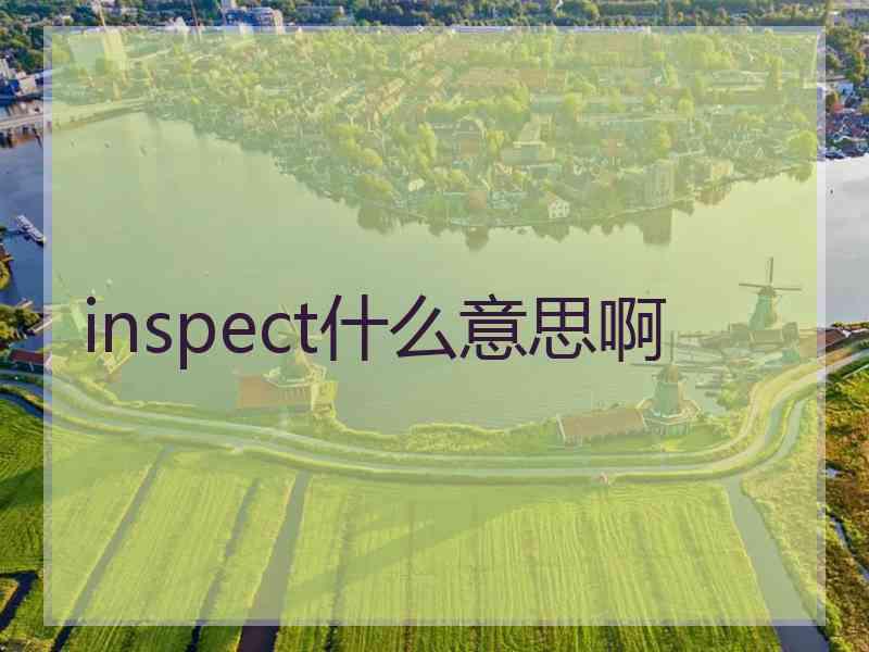 inspect什么意思啊