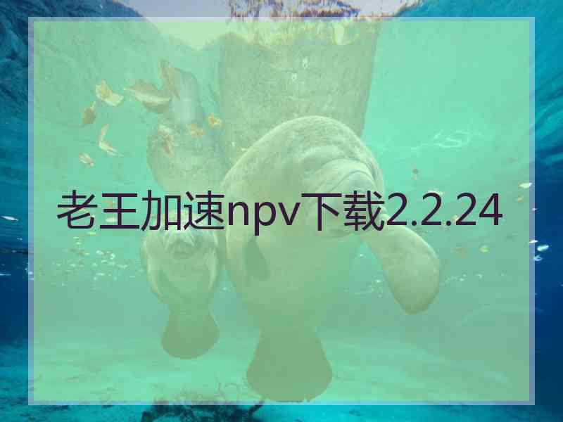 老王加速npv下载2.2.24