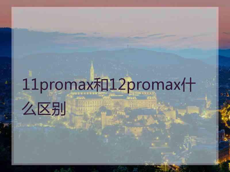 11promax和12promax什么区别