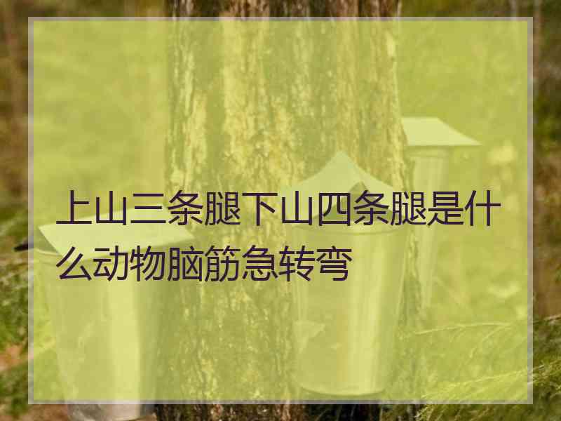 上山三条腿下山四条腿是什么动物脑筋急转弯