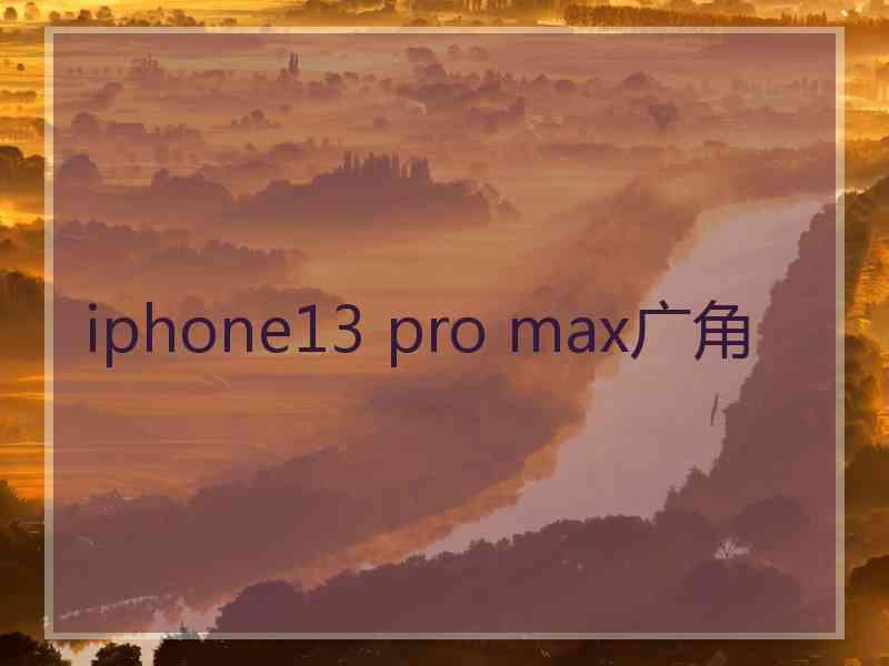 iphone13 pro max广角