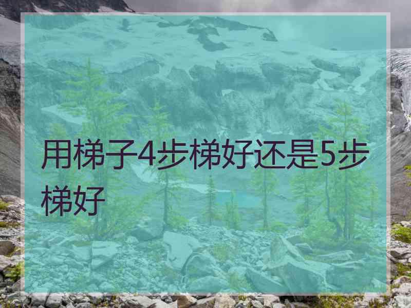 用梯子4步梯好还是5步梯好