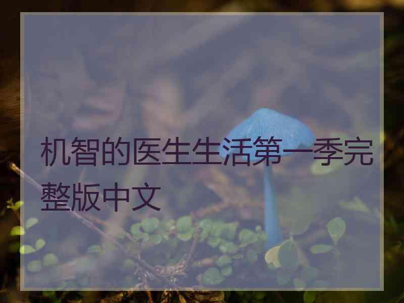 机智的医生生活第一季完整版中文