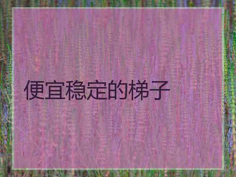 便宜稳定的梯子