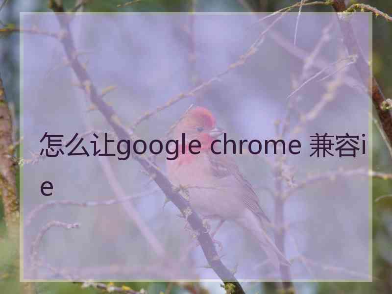 怎么让google chrome 兼容ie