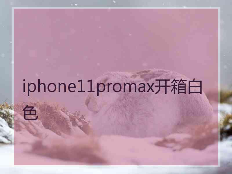 iphone11promax开箱白色