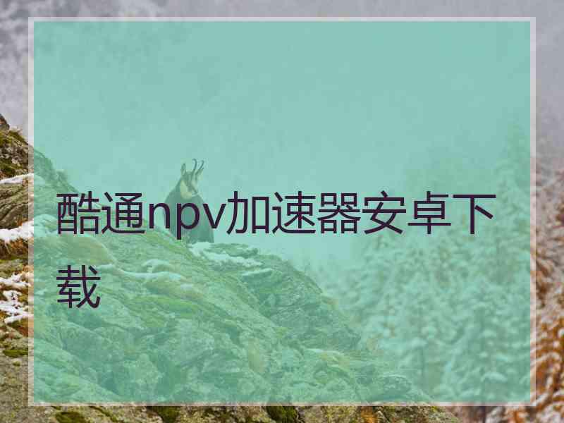 酷通npv加速器安卓下载