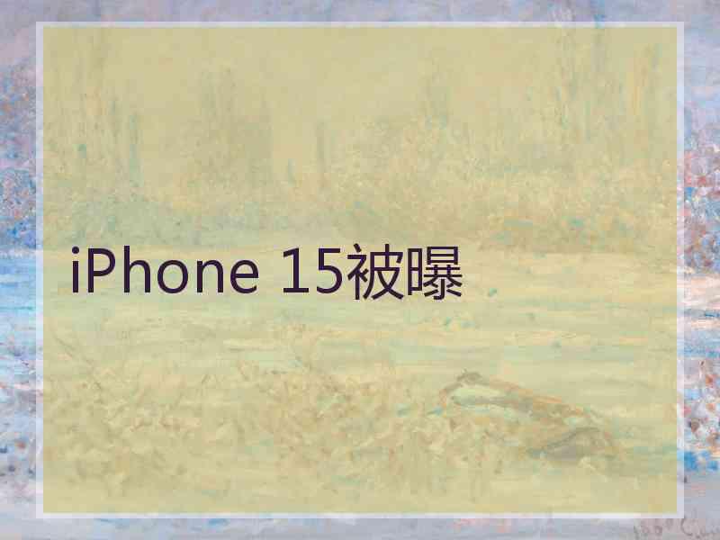 iPhone 15被曝