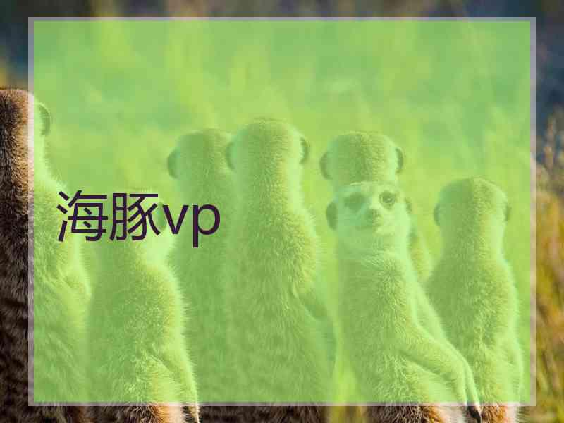 海豚vp