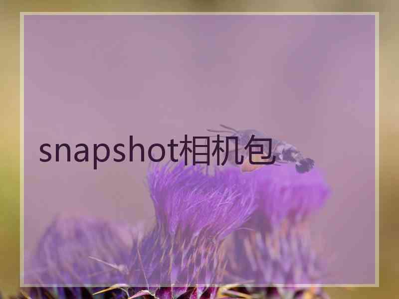 snapshot相机包