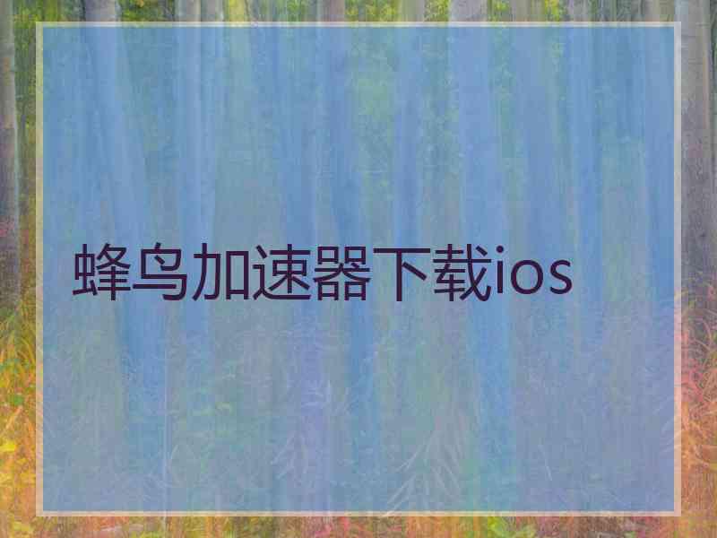 蜂鸟加速器下载ios