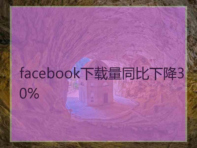 facebook下载量同比下降30%