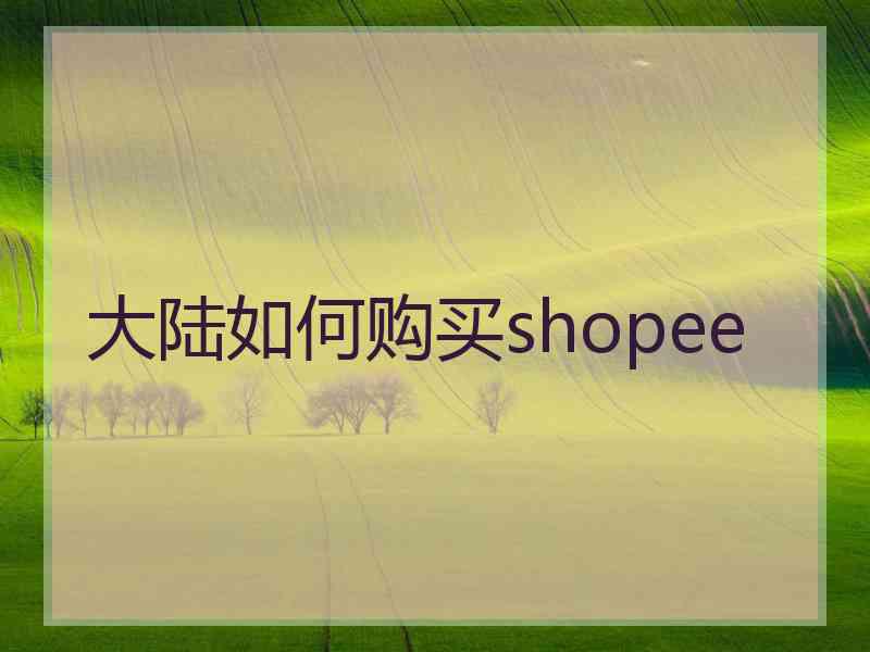 大陆如何购买shopee