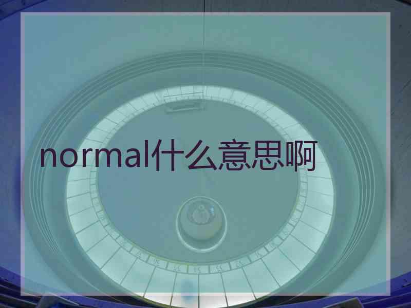 normal什么意思啊