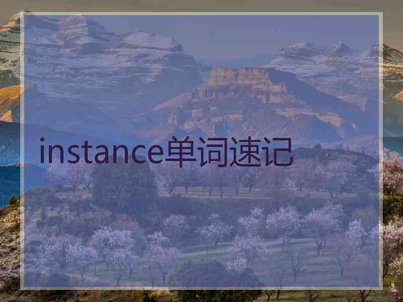 instance单词速记