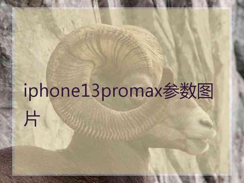 iphone13promax参数图片