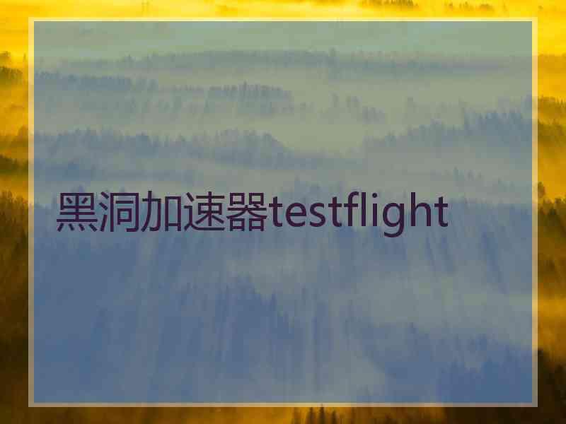 黑洞加速器testflight