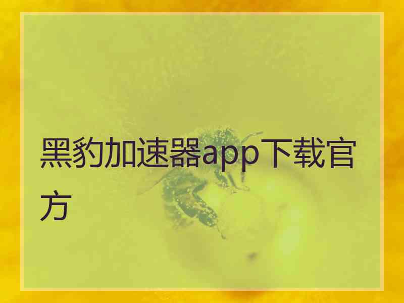 黑豹加速器app下载官方