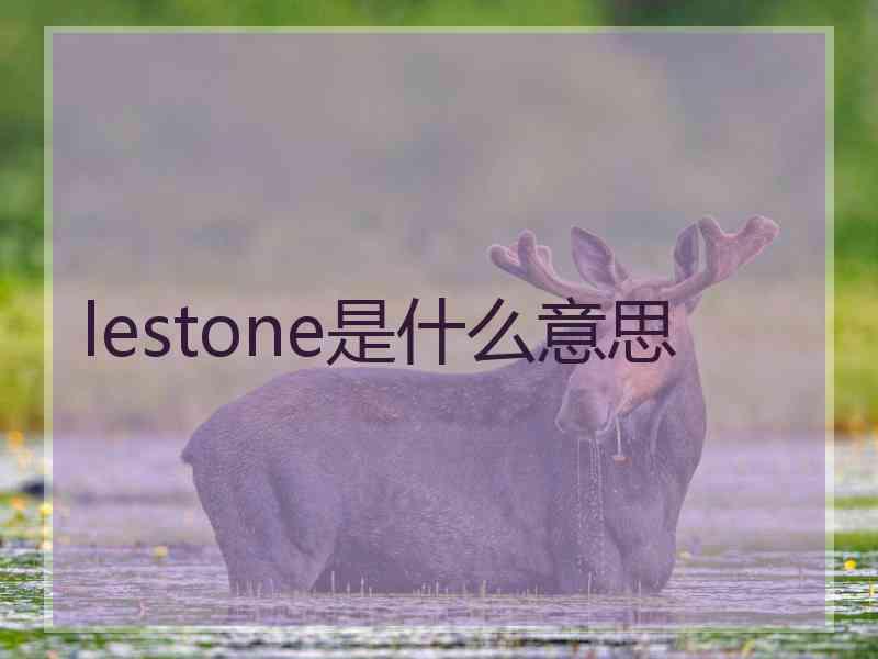 lestone是什么意思