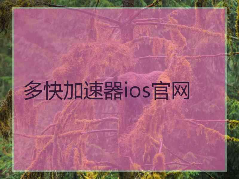 多快加速器ios官网