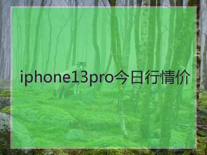 iphone13pro今日行情价