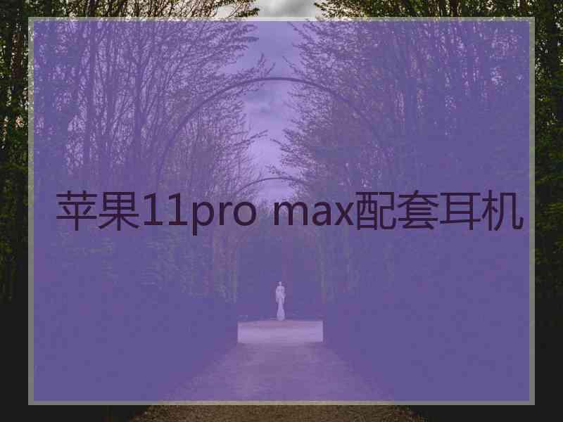 苹果11pro max配套耳机