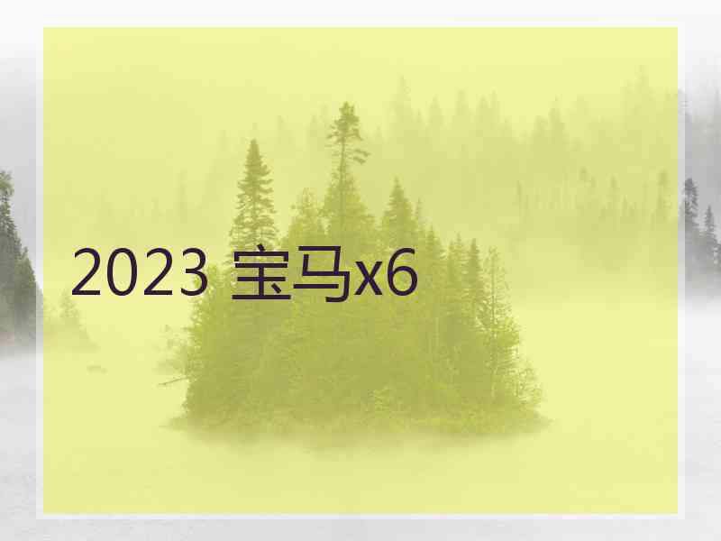 2023 宝马x6