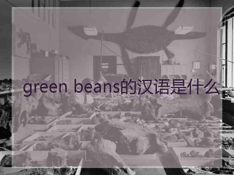 green beans的汉语是什么