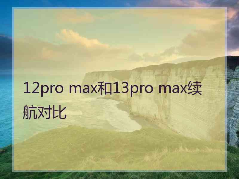 12pro max和13pro max续航对比