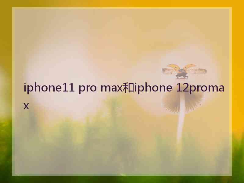 iphone11 pro max和iphone 12promax