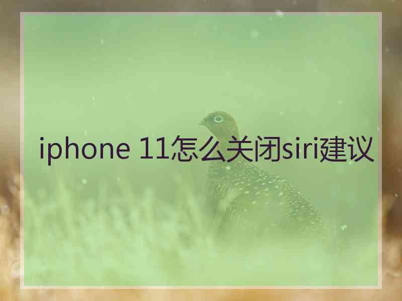 iphone 11怎么关闭siri建议