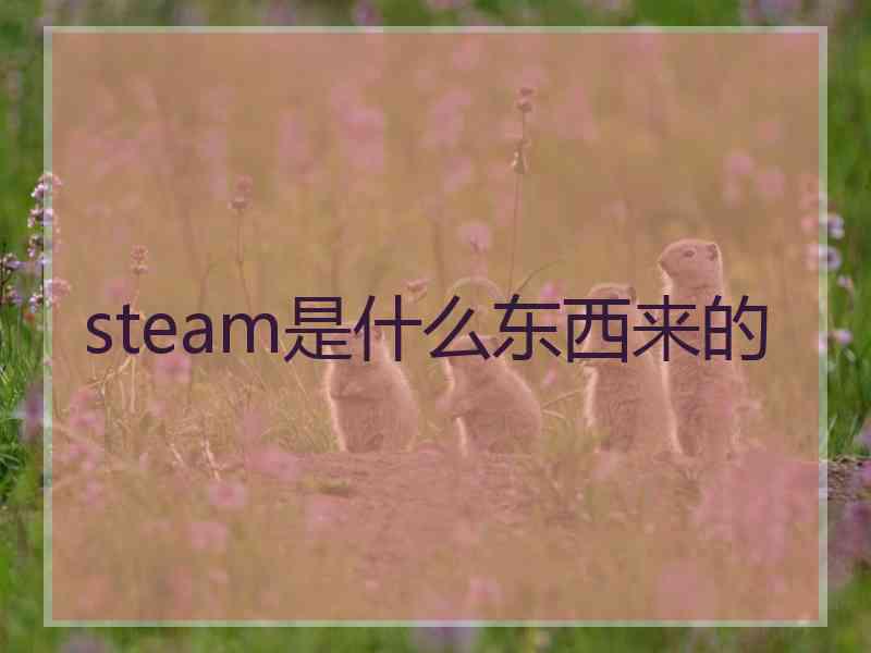 steam是什么东西来的