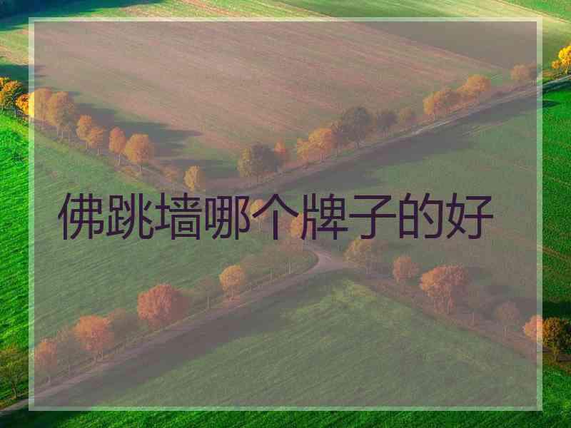 佛跳墙哪个牌子的好