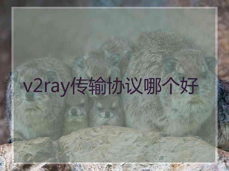 v2ray传输协议哪个好