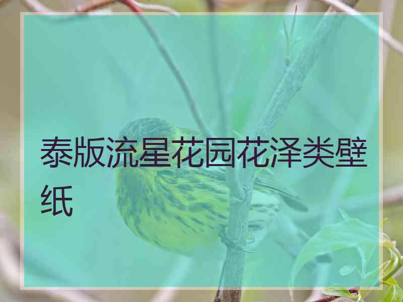 泰版流星花园花泽类壁纸