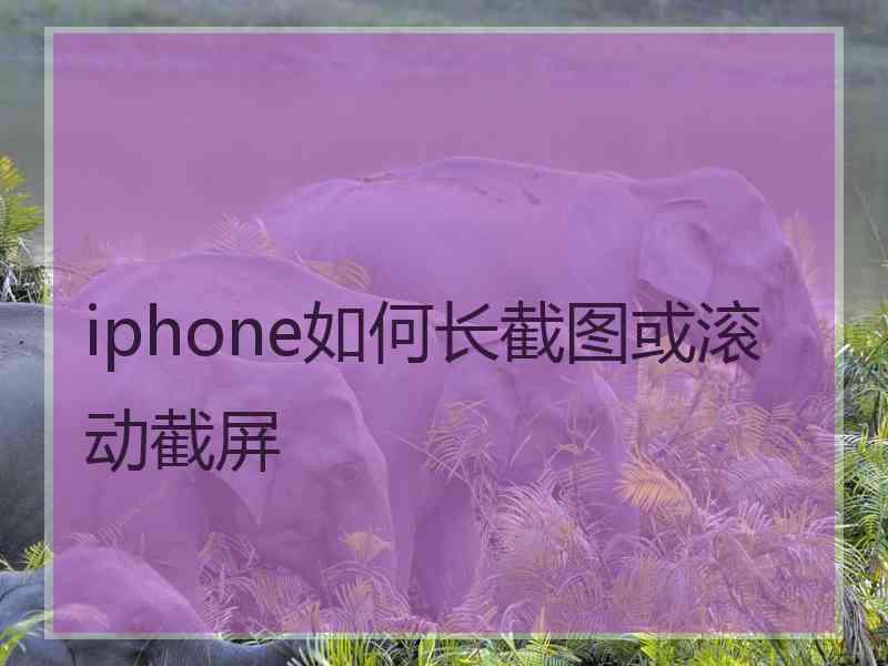 iphone如何长截图或滚动截屏