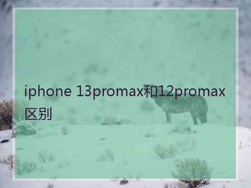 iphone 13promax和12promax区别