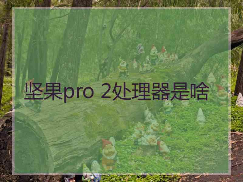 坚果pro 2处理器是啥